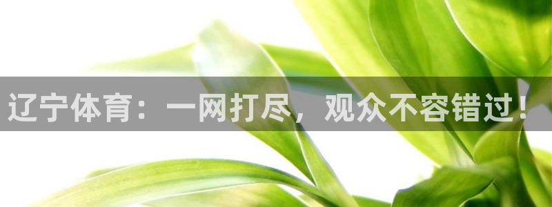 三只松鼠直播