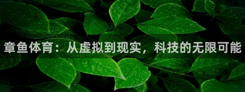 松鼠直播.