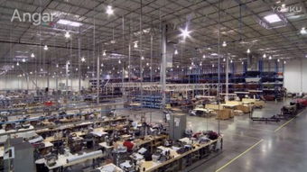 Adam Neal Smith 专业翻译服务的卓越代表